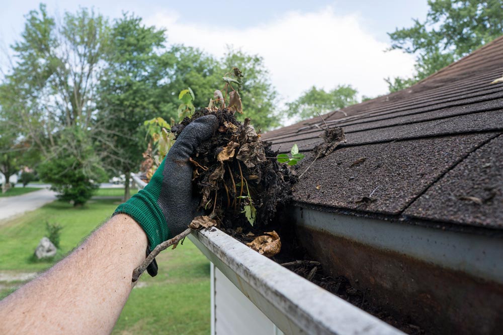 Borden Gutter Cleaners